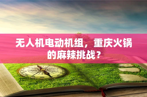 无人机电动机组，重庆火锅的麻辣挑战？
