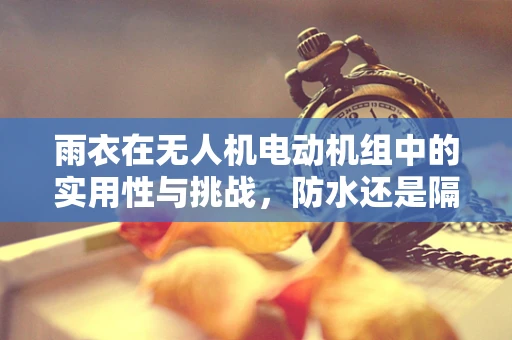 雨衣在无人机电动机组中的实用性与挑战，防水还是隔热？