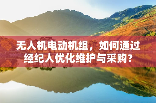 无人机电动机组，如何通过经纪人优化维护与采购？