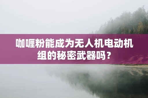 咖喱粉能成为无人机电动机组的秘密武器吗？
