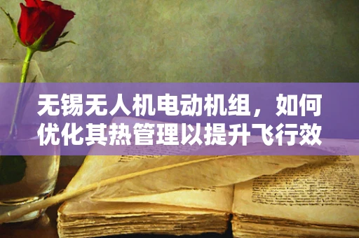 无锡无人机电动机组，如何优化其热管理以提升飞行效率？