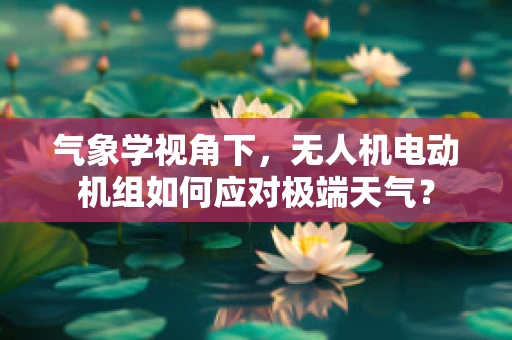 气象学视角下，无人机电动机组如何应对极端天气？