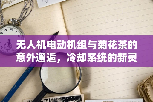 无人机电动机组与菊花茶的意外邂逅，冷却系统的新灵感？