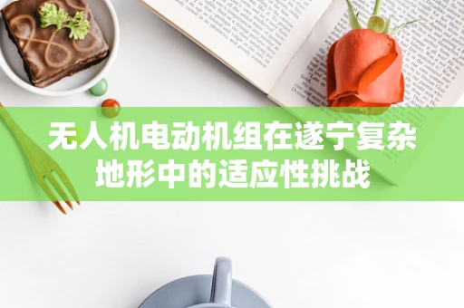 无人机电动机组在遂宁复杂地形中的适应性挑战