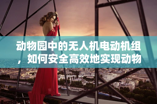 动物园中的无人机电动机组，如何安全高效地实现动物追踪？