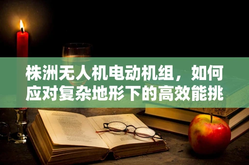株洲无人机电动机组，如何应对复杂地形下的高效能挑战？