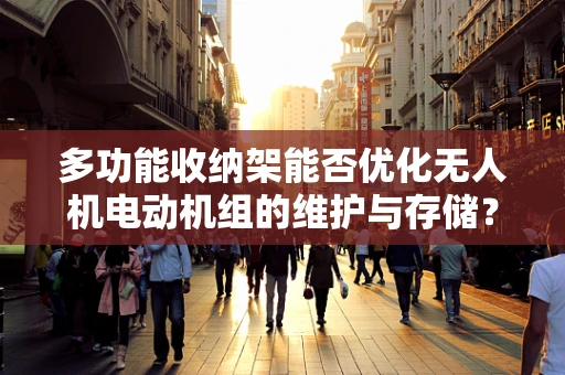 多功能收纳架能否优化无人机电动机组的维护与存储？