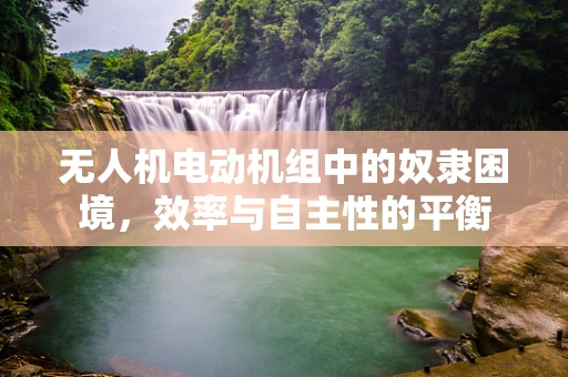 无人机电动机组中的奴隶困境，效率与自主性的平衡