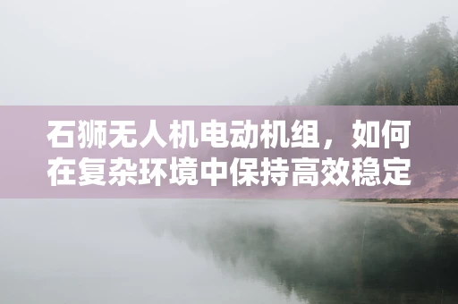 石狮无人机电动机组，如何在复杂环境中保持高效稳定？