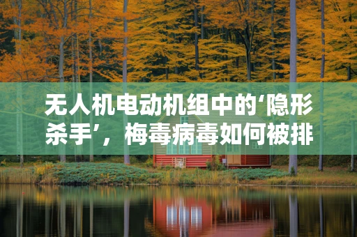 无人机电动机组中的‘隐形杀手’，梅毒病毒如何被排除？