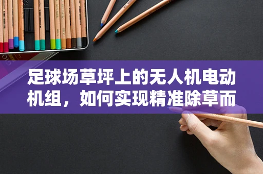 足球场草坪上的无人机电动机组，如何实现精准除草而不伤草？