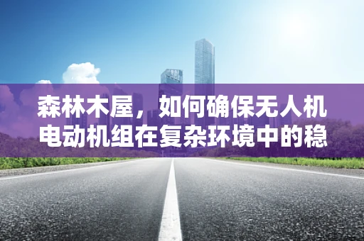 森林木屋，如何确保无人机电动机组在复杂环境中的稳定运行？