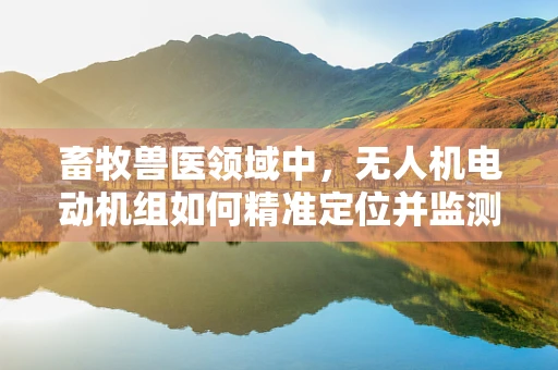 畜牧兽医领域中，无人机电动机组如何精准定位并监测牲畜健康？