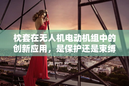枕套在无人机电动机组中的创新应用，是保护还是束缚？
