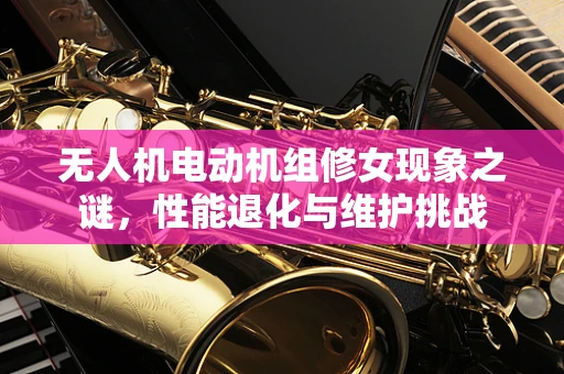 无人机电动机组修女现象之谜，性能退化与维护挑战