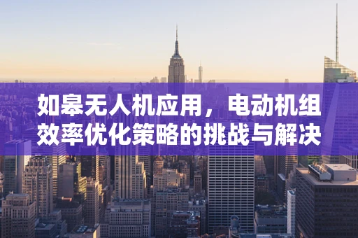 如皋无人机应用，电动机组效率优化策略的挑战与解决方案