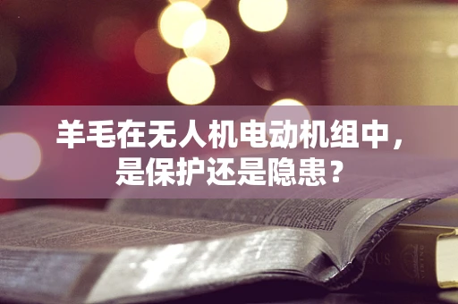 羊毛在无人机电动机组中，是保护还是隐患？