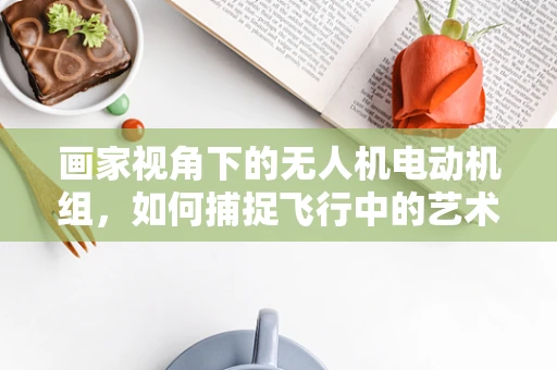画家视角下的无人机电动机组，如何捕捉飞行中的艺术灵感？