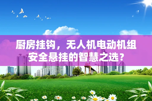 厨房挂钩，无人机电动机组安全悬挂的智慧之选？