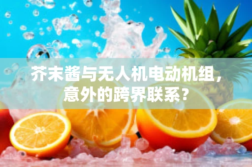 芥末酱与无人机电动机组，意外的跨界联系？