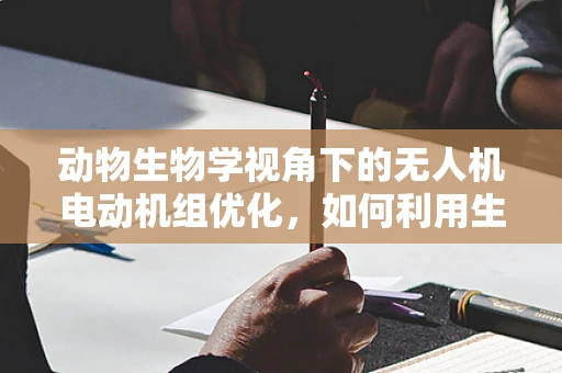 动物生物学视角下的无人机电动机组优化，如何利用生物启发的飞行策略？