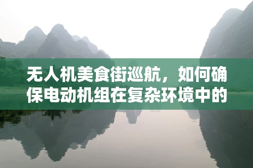无人机美食街巡航，如何确保电动机组在复杂环境中的稳定运行？