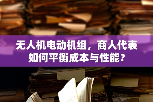无人机电动机组，商人代表如何平衡成本与性能？