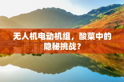 无人机电动机组，酸菜中的隐秘挑战？