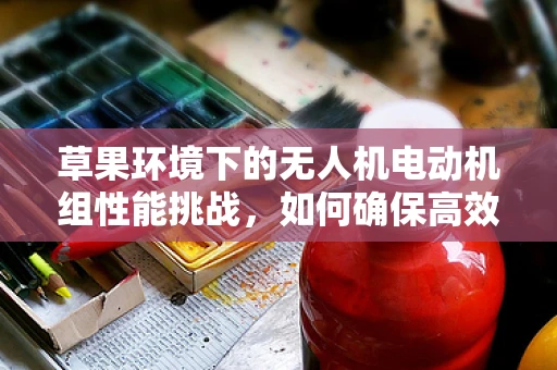 草果环境下的无人机电动机组性能挑战，如何确保高效与稳定？