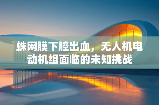 蛛网膜下腔出血，无人机电动机组面临的未知挑战