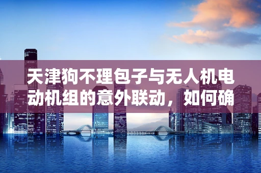 天津狗不理包子与无人机电动机组的意外联动，如何确保美食与科技的完美融合？