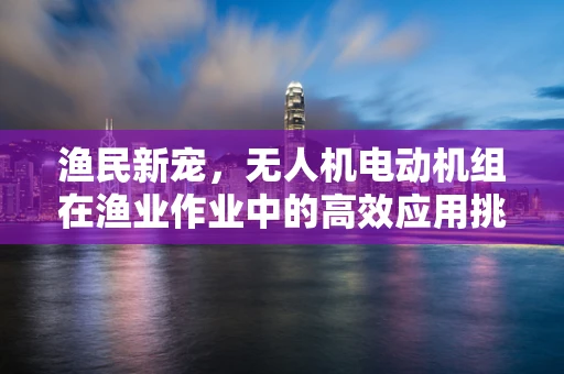 渔民新宠，无人机电动机组在渔业作业中的高效应用挑战