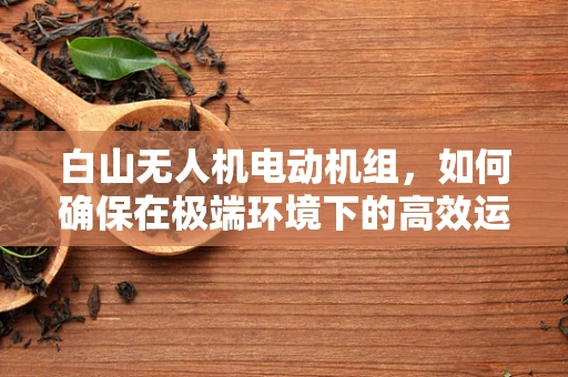 白山无人机电动机组，如何确保在极端环境下的高效运行？