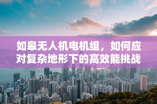 如皋无人机电机组，如何应对复杂地形下的高效能挑战？