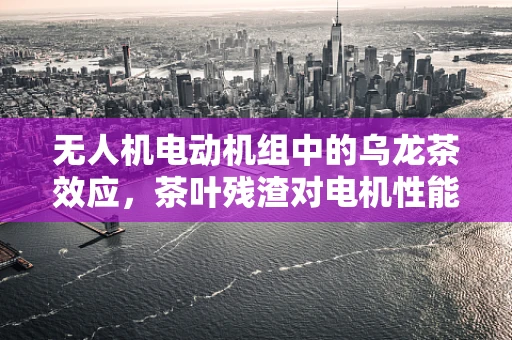 无人机电动机组中的乌龙茶效应，茶叶残渣对电机性能的意外影响