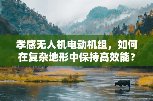 孝感无人机电动机组，如何在复杂地形中保持高效能？