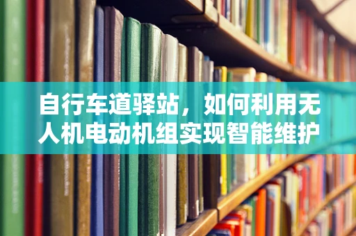 自行车道驿站，如何利用无人机电动机组实现智能维护？