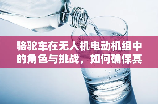 骆驼车在无人机电动机组中的角色与挑战，如何确保其耐用性与效率？