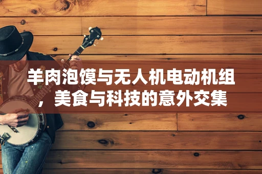 羊肉泡馍与无人机电动机组，美食与科技的意外交集