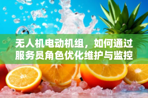 无人机电动机组，如何通过服务员角色优化维护与监控？