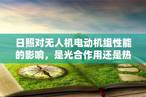 日照对无人机电动机组性能的影响，是光合作用还是热能挑战？