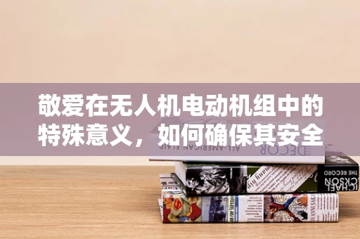 敬爱在无人机电动机组中的特殊意义，如何确保其安全与高效？