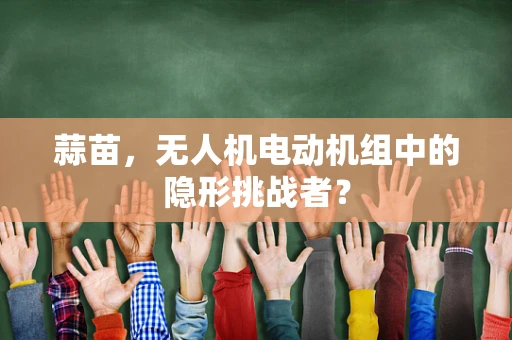 蒜苗，无人机电动机组中的隐形挑战者？