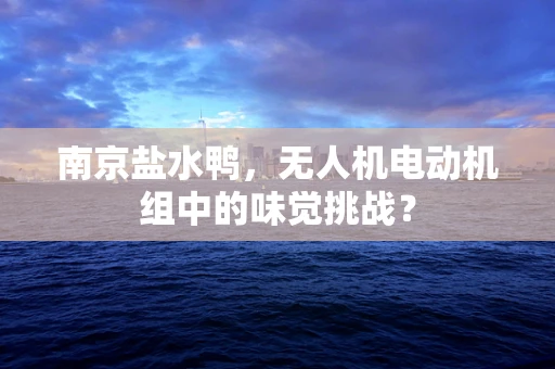 南京盐水鸭，无人机电动机组中的味觉挑战？
