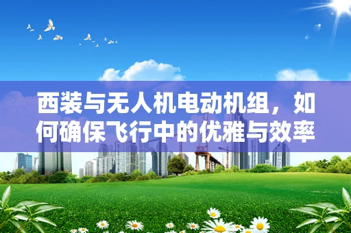 西装与无人机电动机组，如何确保飞行中的优雅与效率？