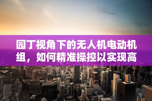 园丁视角下的无人机电动机组，如何精准操控以实现高效园艺作业？