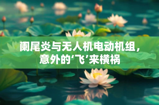 阑尾炎与无人机电动机组，意外的‘飞’来横祸