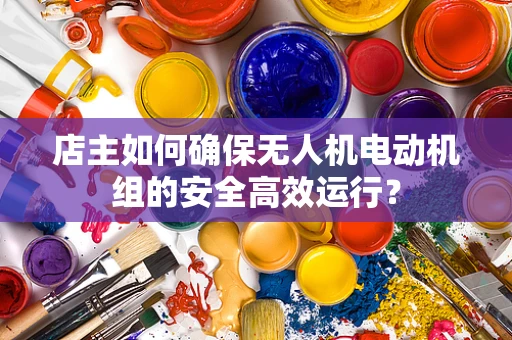 店主如何确保无人机电动机组的安全高效运行？