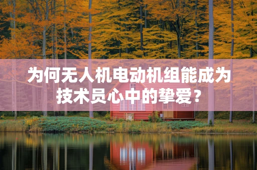 为何无人机电动机组能成为技术员心中的挚爱？