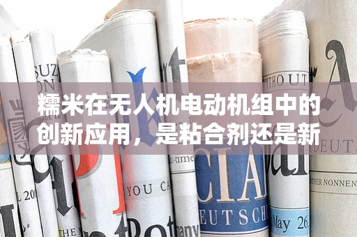 糯米在无人机电动机组中的创新应用，是粘合剂还是新动力？